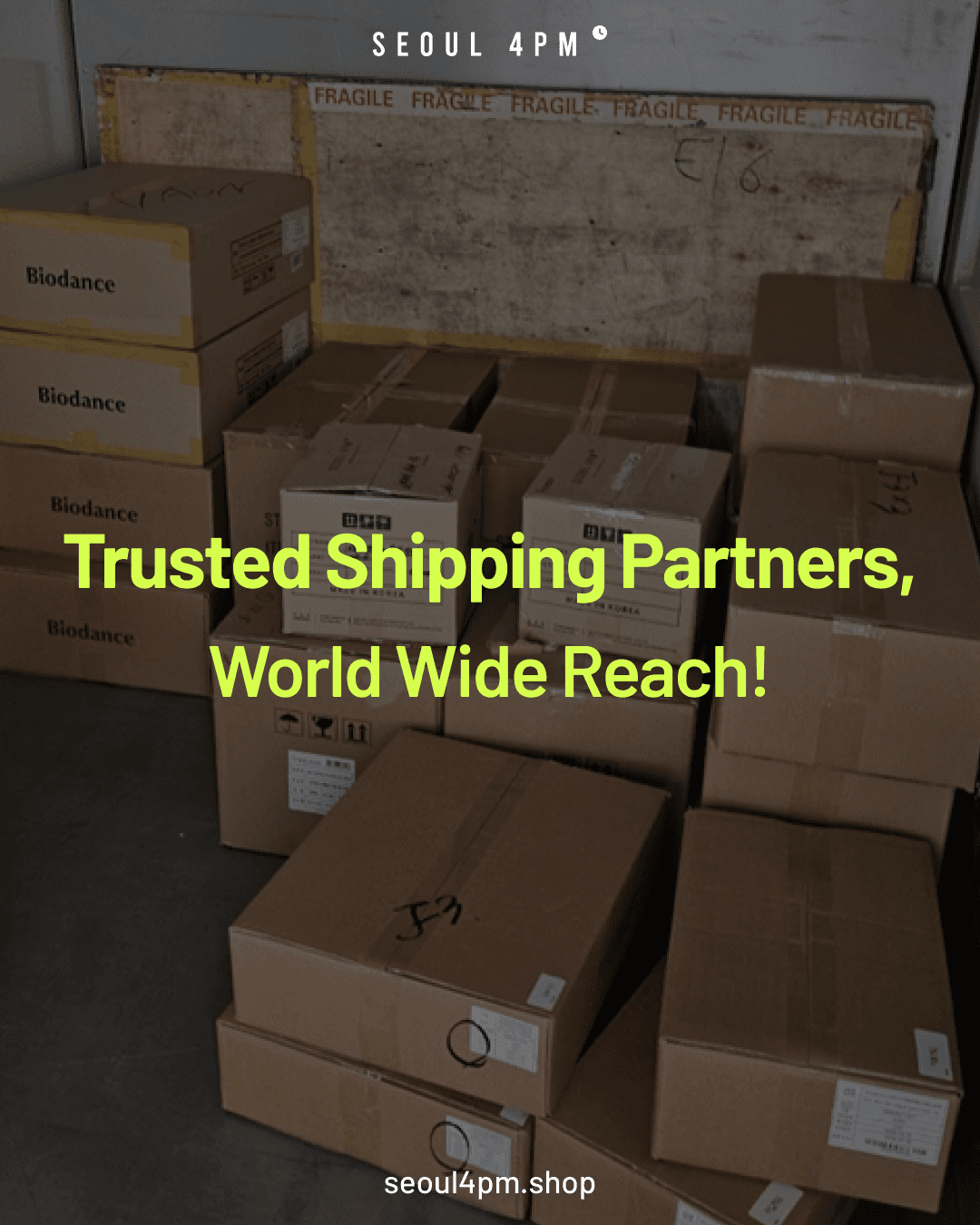Trusted Shipping Partners, World Wide Reach