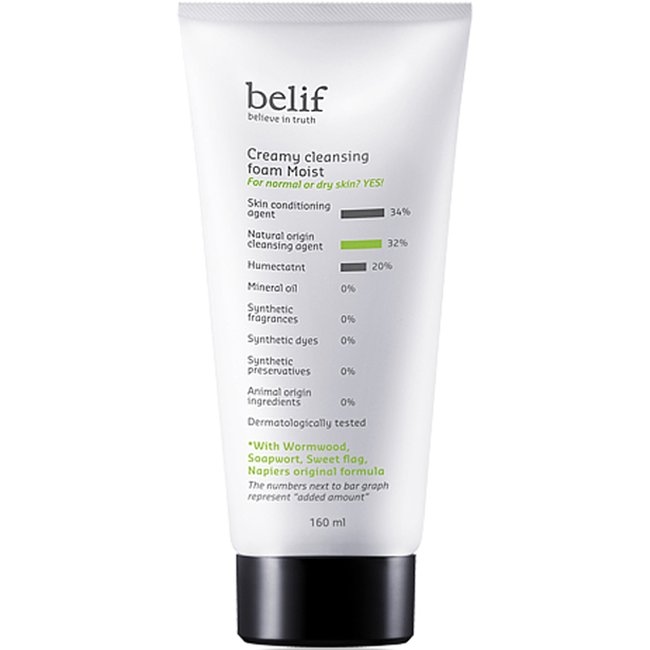 Creamy Cleansing Foam Moist 160 (Y24) (-)